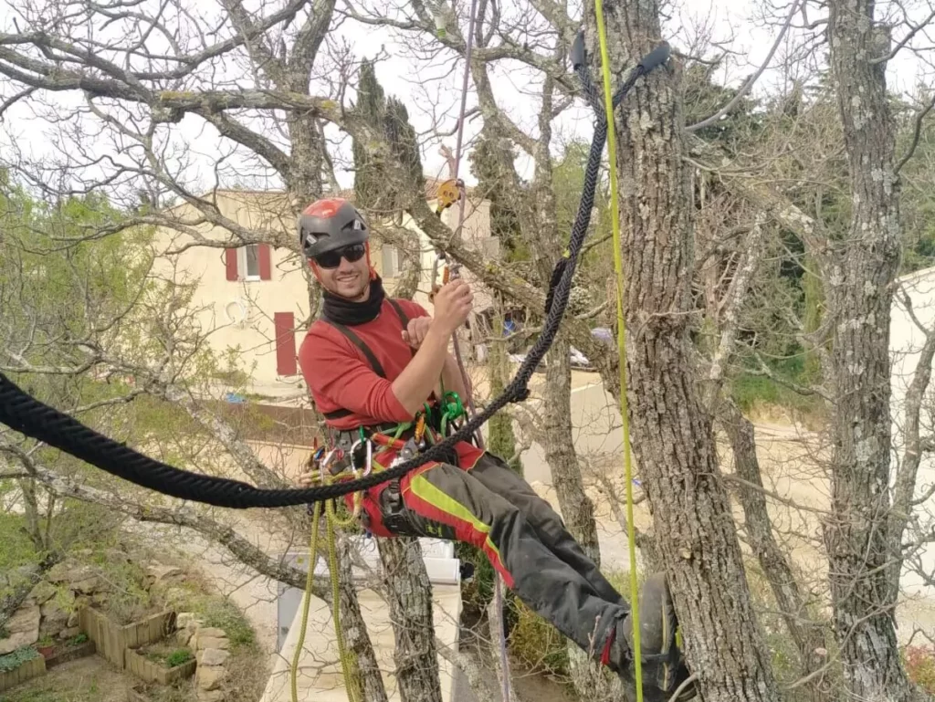 img 20220620 wa0000 edited 1.jpg