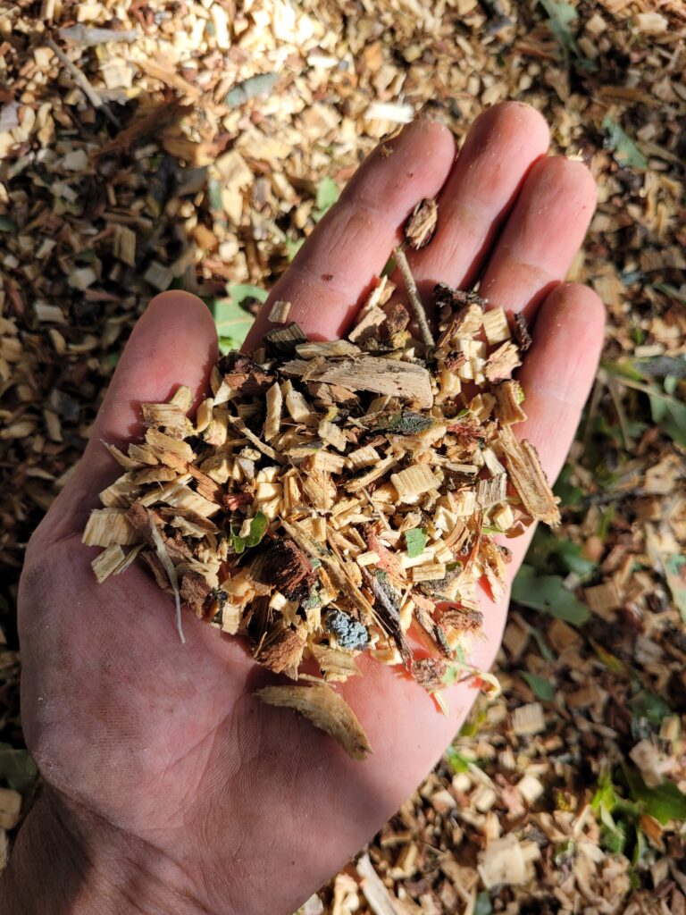 expertise & diagnostic 20231025 110831