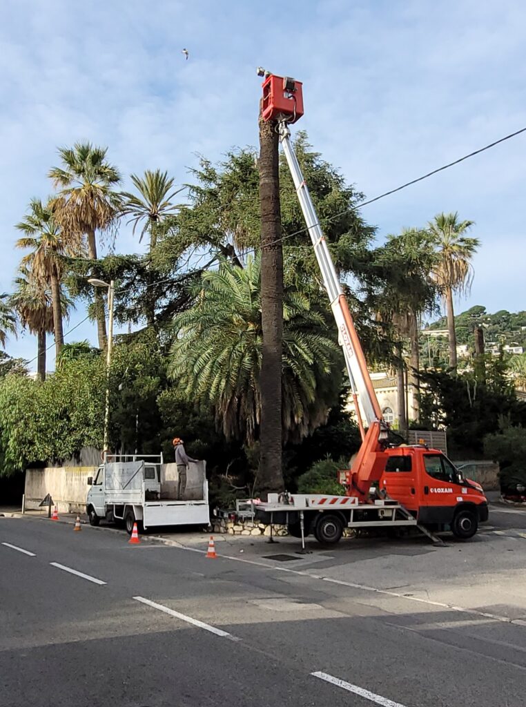 demontage 4 demontage 4